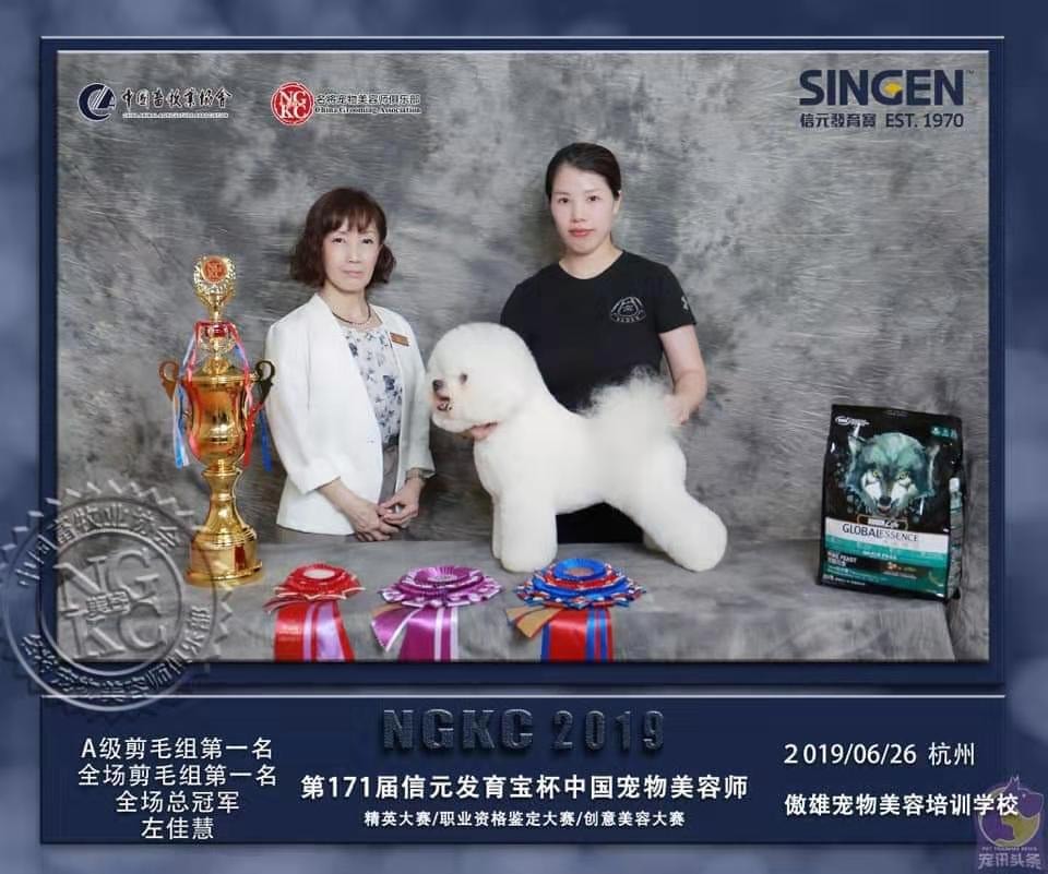 Penny with a white Bichon, a trophy, and award rosettes after Best in Show in 2019