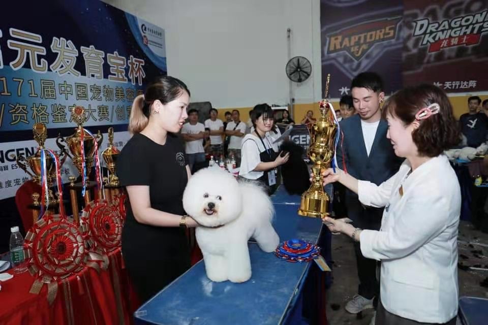 Penny receiving an award at a professional grooming competition