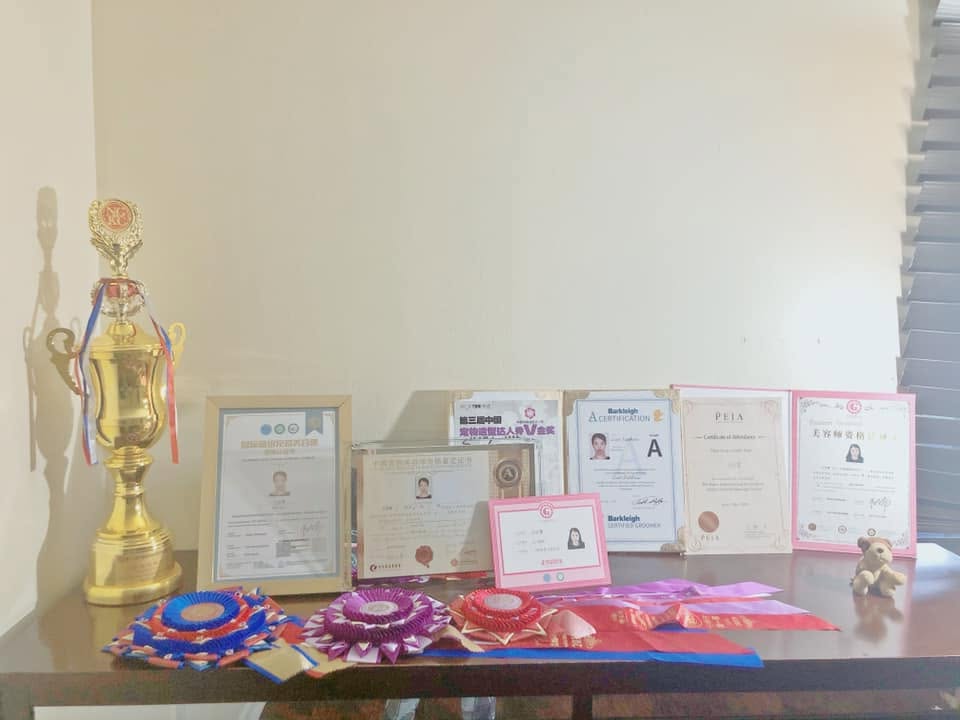 Professional grooming awards, rosettes and certificates
