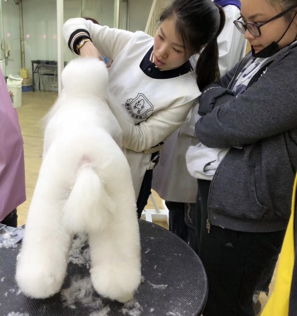 Penny demonstrating grooming technique during hands-on instruction