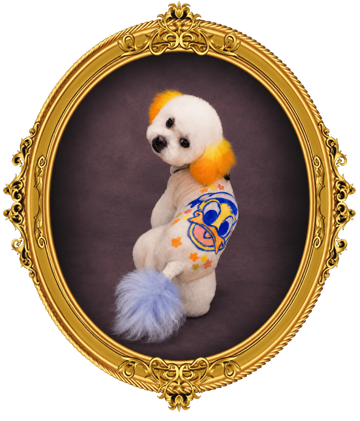 K9 Atelier grooming portfolio — white dog with creative color and coat art, ornate gold frame